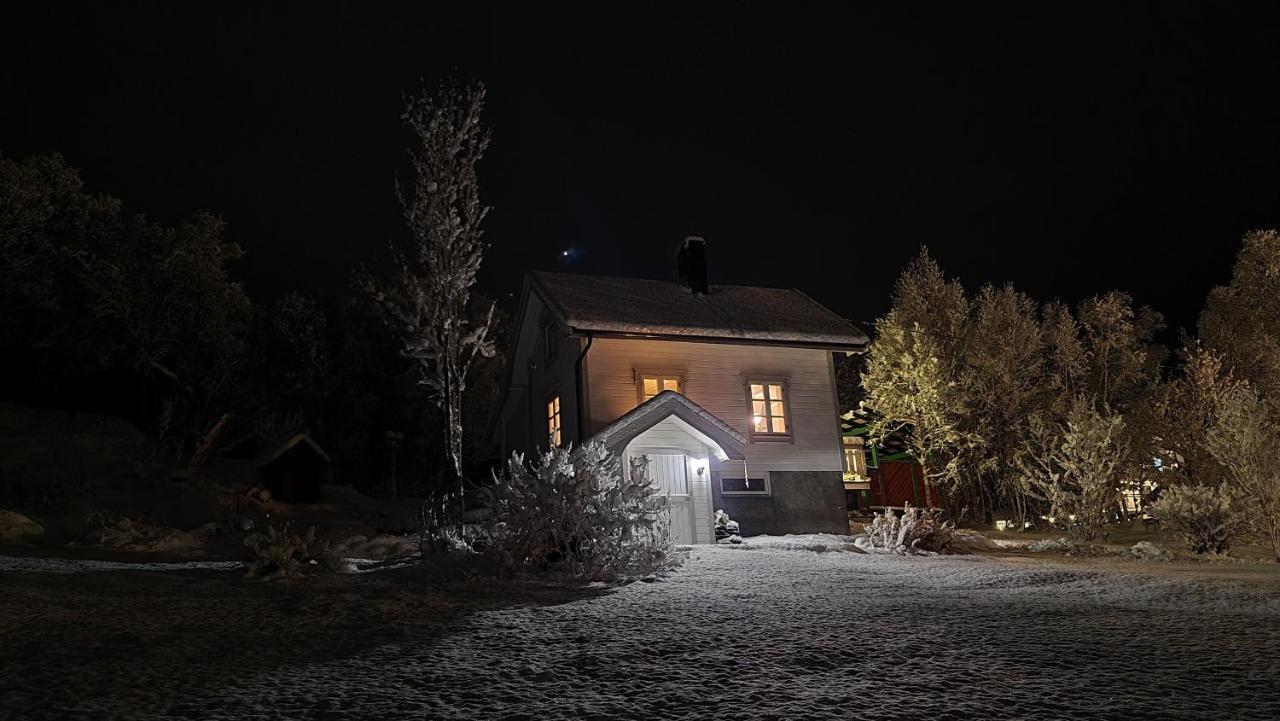 Cabin Magic On Senja, Atmosphere Like A Fairytale Botnhamn Εξωτερικό φωτογραφία
