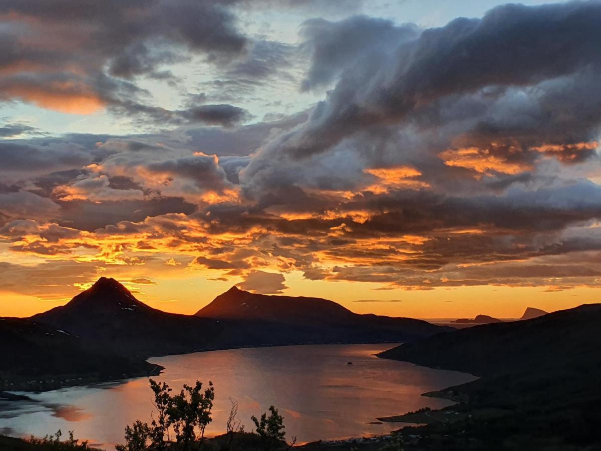 Cabin Magic On Senja, Atmosphere Like A Fairytale Botnhamn Εξωτερικό φωτογραφία