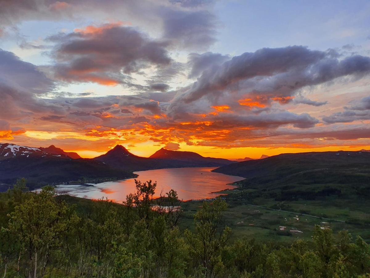 Cabin Magic On Senja, Atmosphere Like A Fairytale Botnhamn Εξωτερικό φωτογραφία