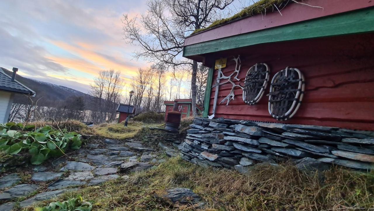 Cabin Magic On Senja, Atmosphere Like A Fairytale Botnhamn Εξωτερικό φωτογραφία