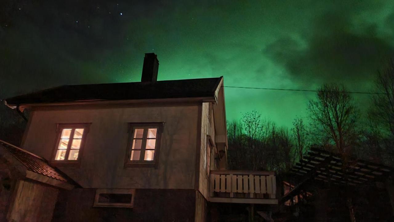Cabin Magic On Senja, Atmosphere Like A Fairytale Botnhamn Εξωτερικό φωτογραφία