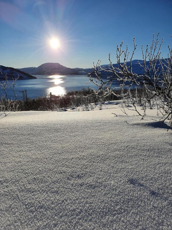 Cabin Magic On Senja, Atmosphere Like A Fairytale Botnhamn Εξωτερικό φωτογραφία