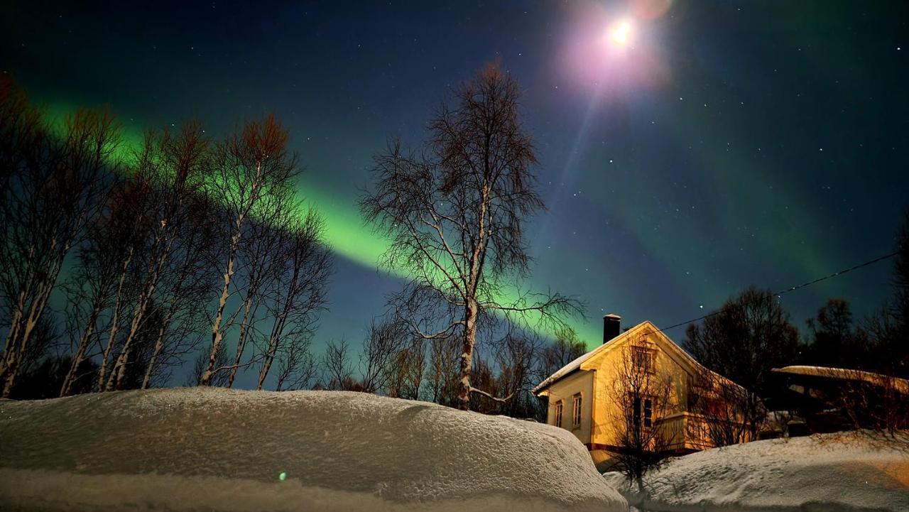Cabin Magic On Senja, Atmosphere Like A Fairytale Botnhamn Εξωτερικό φωτογραφία