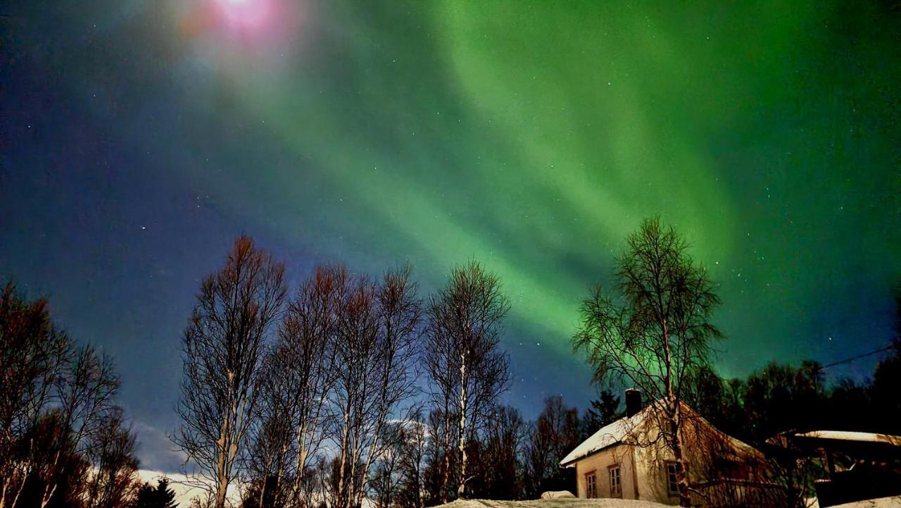 Cabin Magic On Senja, Atmosphere Like A Fairytale Botnhamn Εξωτερικό φωτογραφία