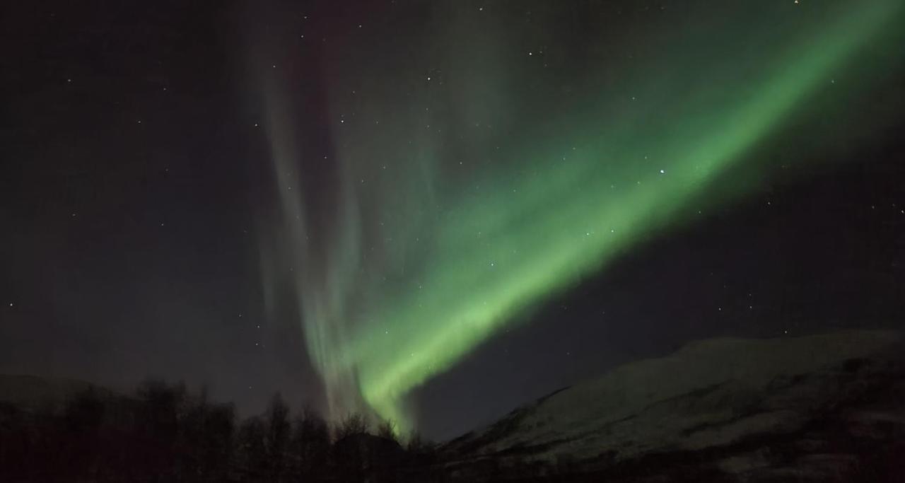 Cabin Magic On Senja, Atmosphere Like A Fairytale Botnhamn Εξωτερικό φωτογραφία