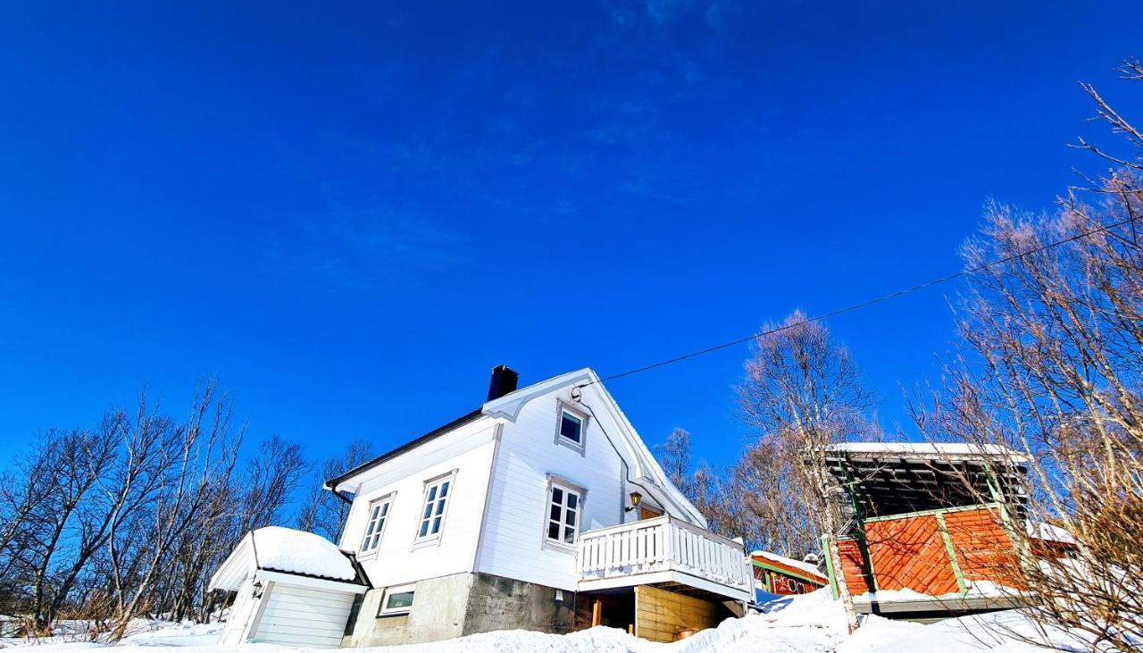 Cabin Magic On Senja, Atmosphere Like A Fairytale Botnhamn Εξωτερικό φωτογραφία
