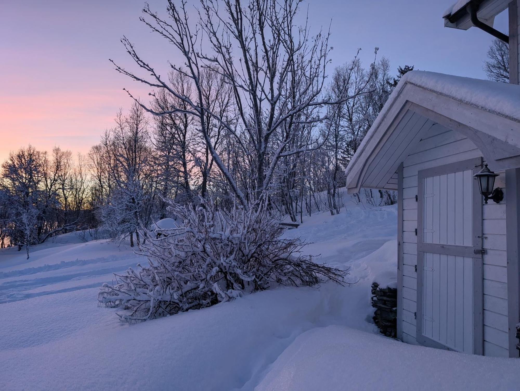 Cabin Magic On Senja, Atmosphere Like A Fairytale Botnhamn Εξωτερικό φωτογραφία